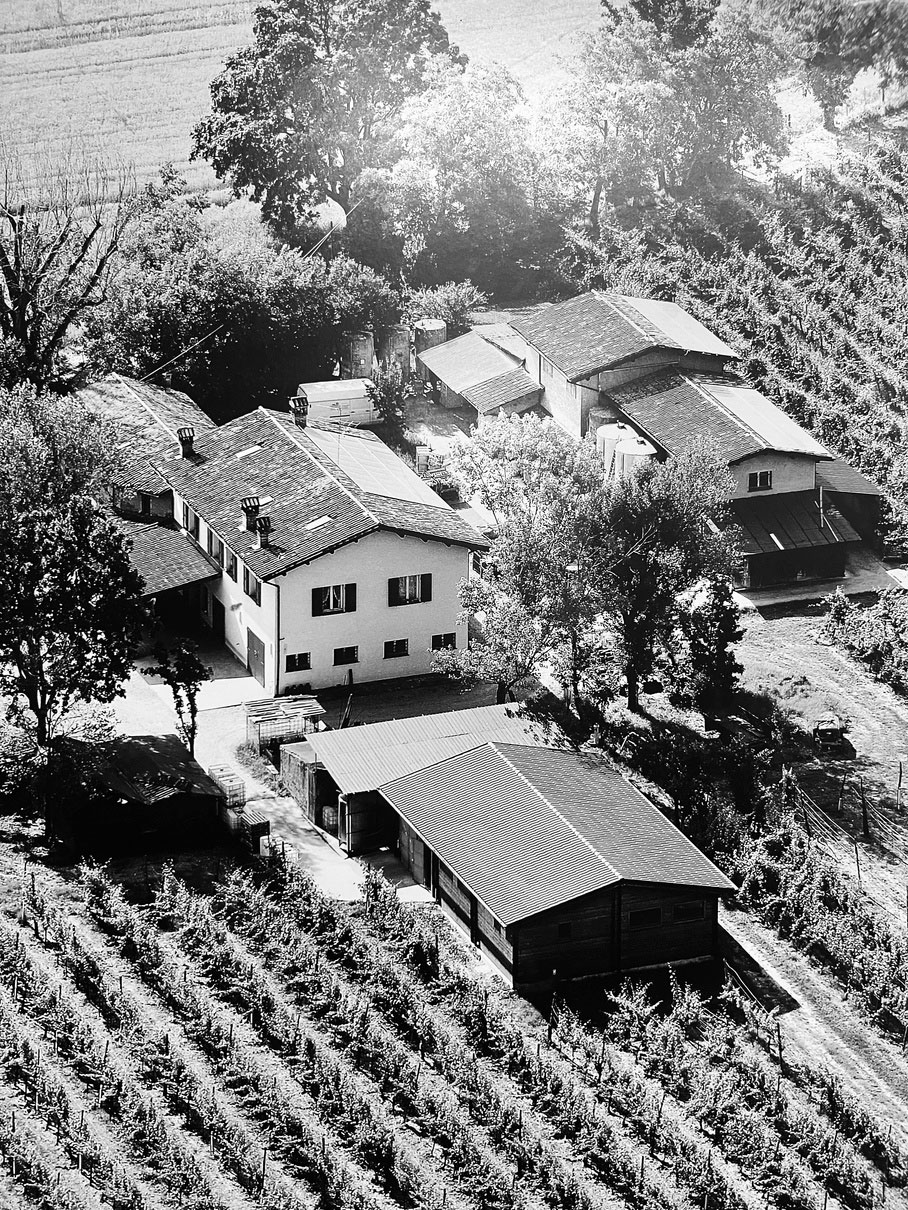 Tenute Lorenzi